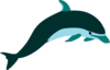 Teal Light Dark Cloured Dolphin Image